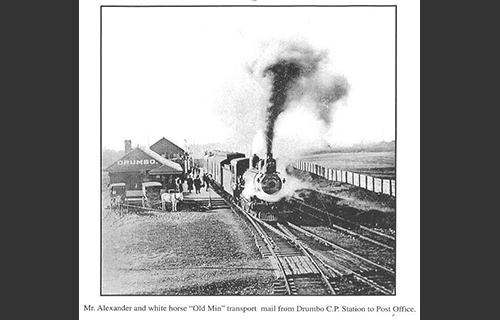 Drumbo CPR Station